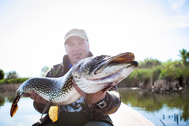 Pike Fishing 101: How To Catch The Northern Pike
