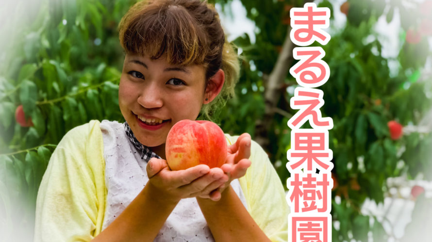 【福島の桃】まるえ果樹園の桃狩りは美味しくて最高だった