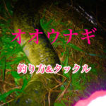 【沖縄】オオウナギを釣るために必要な知識＆タックルを紹介！